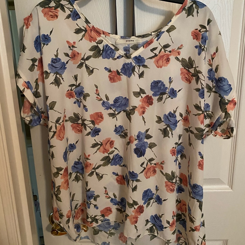 Poema Floral Blouse. Pink, Blue, Cream. 1X.